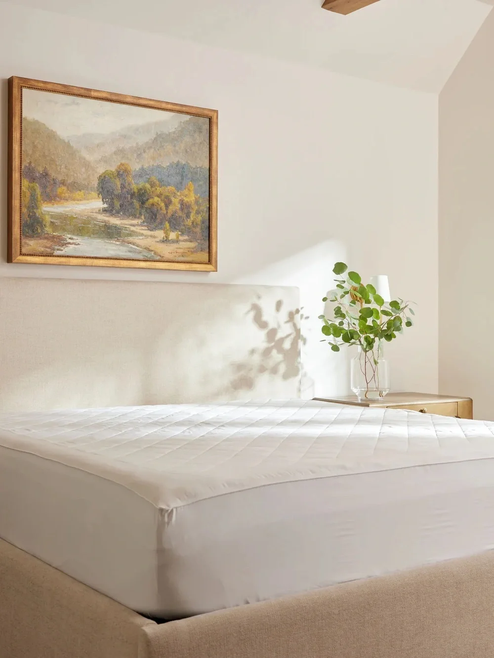 EUC Cozy Earth Bamboo Queen Mattress Pad